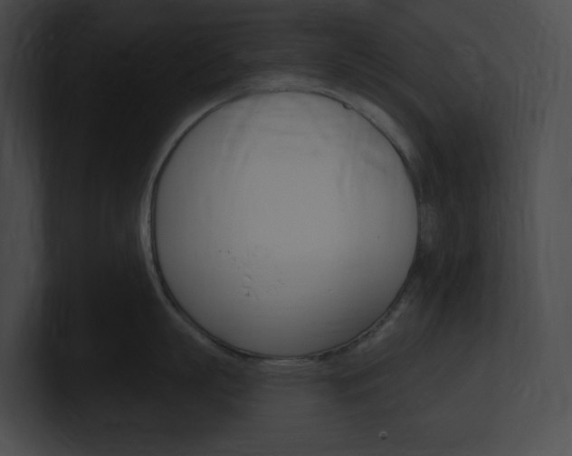 X0000101160863200806270731