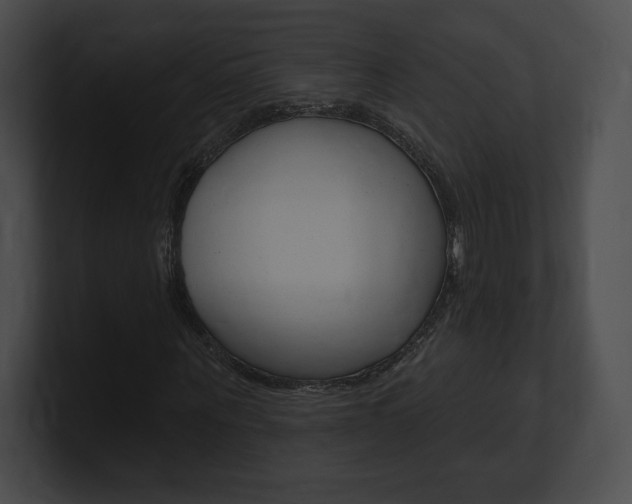 X0000101160867200806270730
