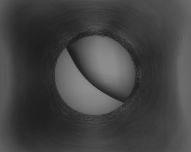 X0000101160868200806270730