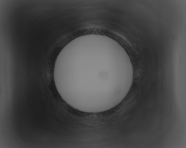 X0000101160869200806270730