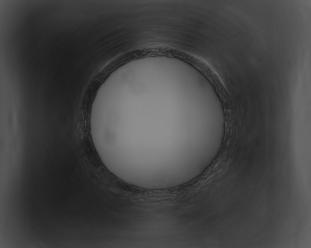X0000101160871200806270730