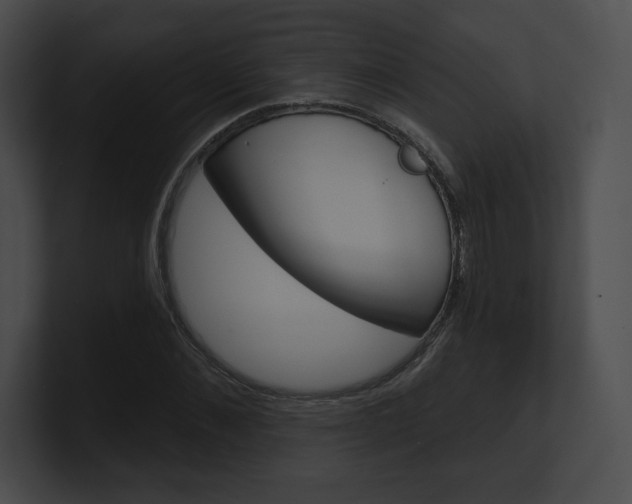 X0000101160876200806270730