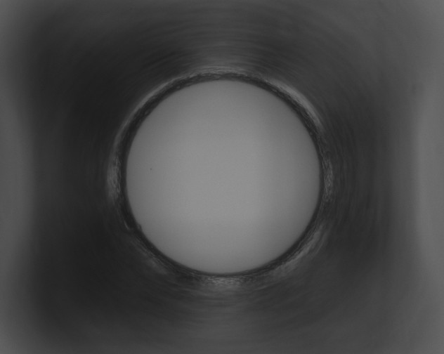 X0000101160878200806270730
