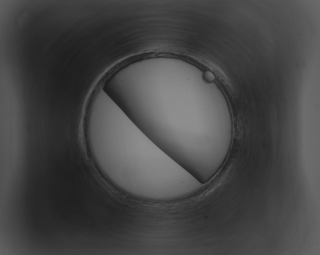 X0000101160880200806270730