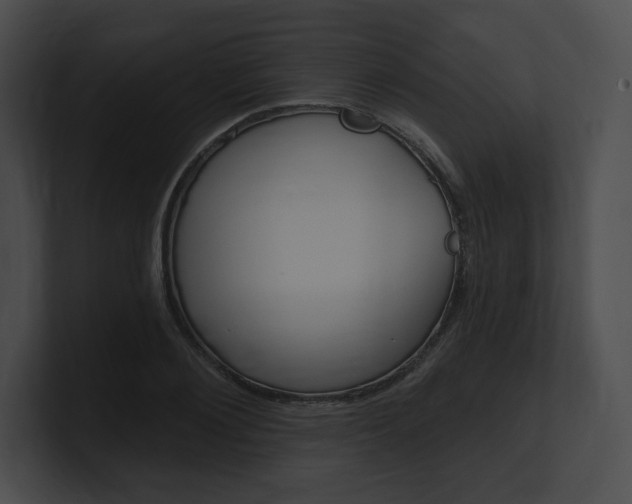 X0000101160884200806270730
