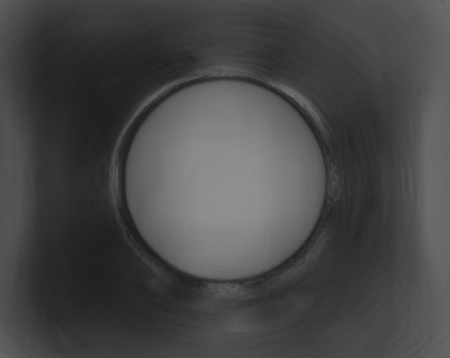 X0000101160886200806270730