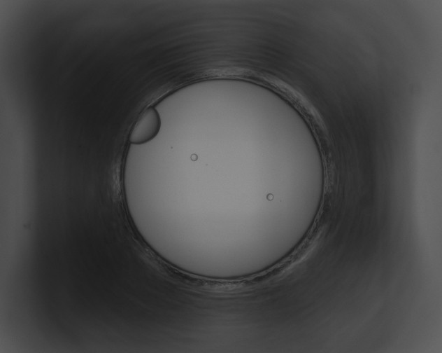 X0000101160889200806270730