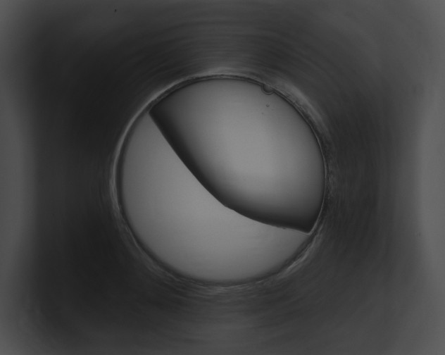 X0000101160892200806270730
