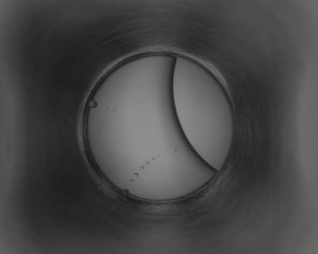 X0000101160895200806270730