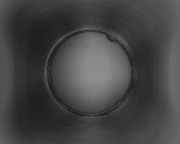 X0000101160896200806270730