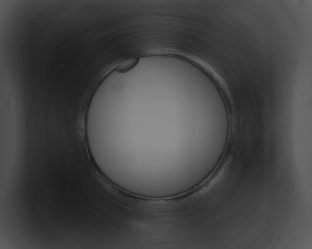 X0000101160897200806270730