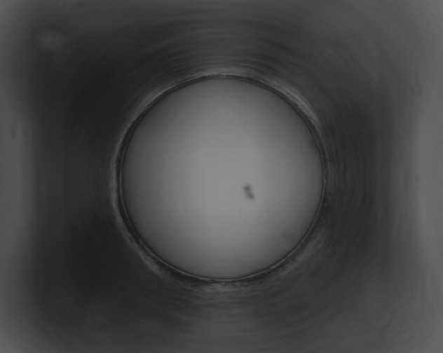 X0000101160898200806270730