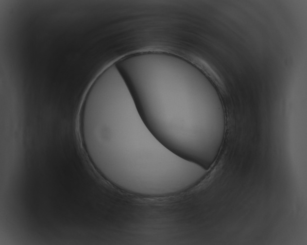 X0000101160900200806270730