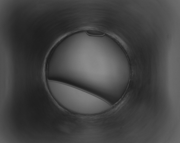 X0000101160902200806270730