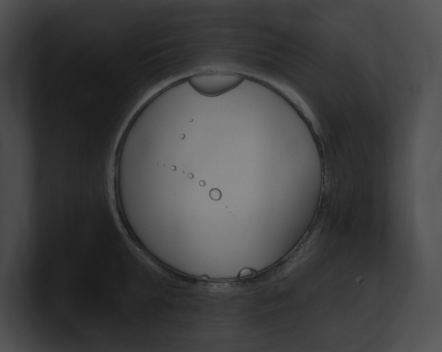 X0000101160903200806270730