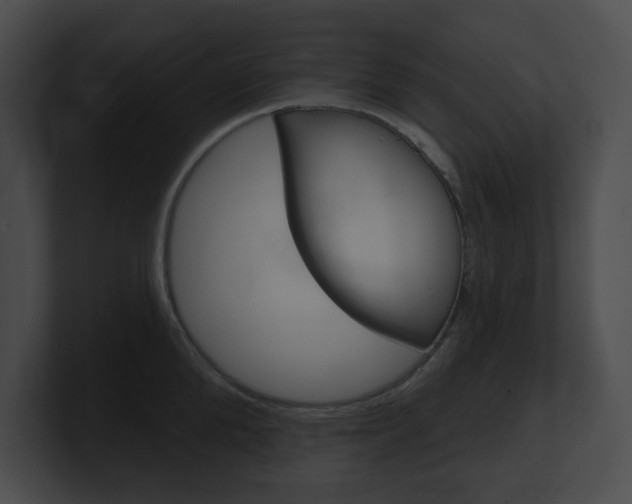 X0000101160904200806270730
