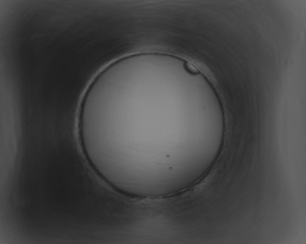 X0000101160912200806270729