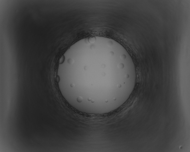 X0000101160913200806270729