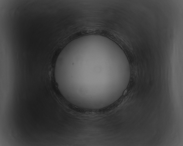 X0000101160914200806270729