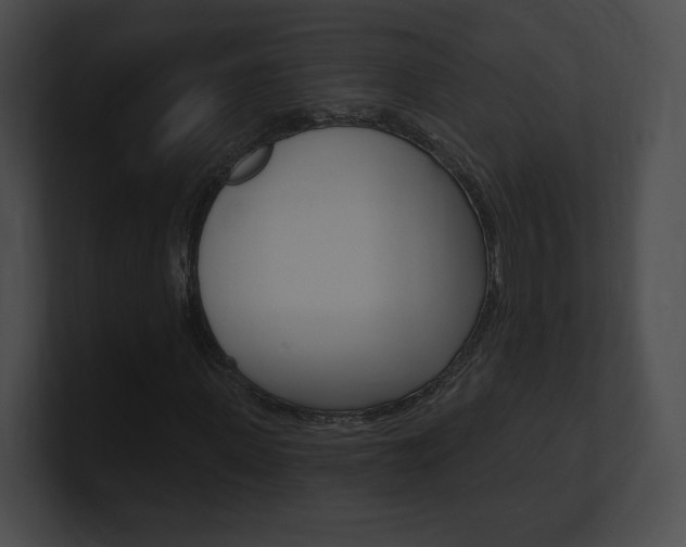 X0000101160915200806270729