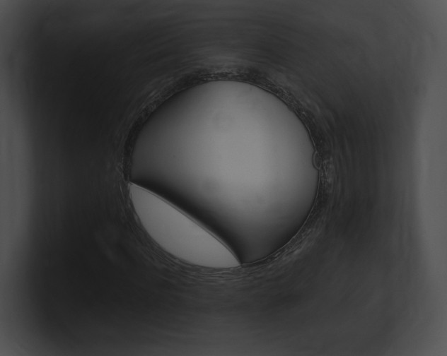 X0000101160916200806270729