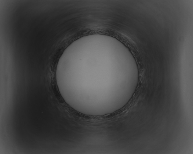 X0000101160917200806270729