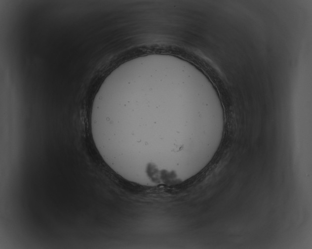 X0000101160918200806270729