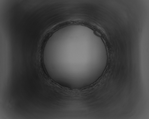 X0000101160920200806270729