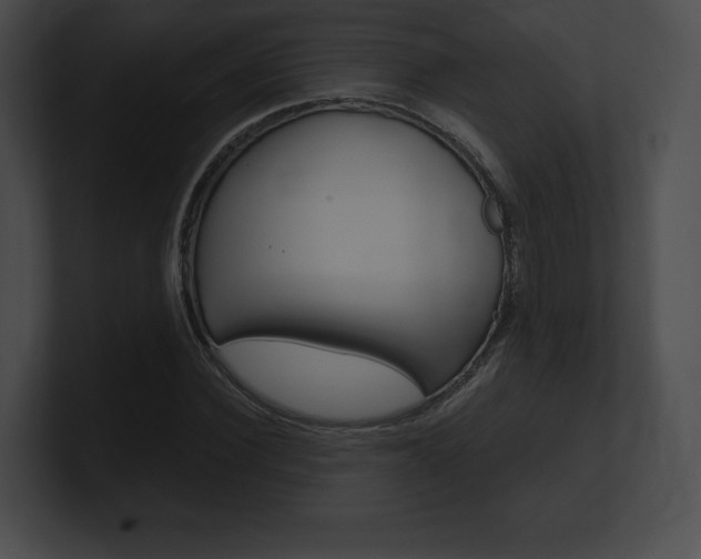 X0000101160924200806270729