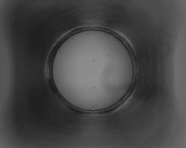 X0000101160925200806270729
