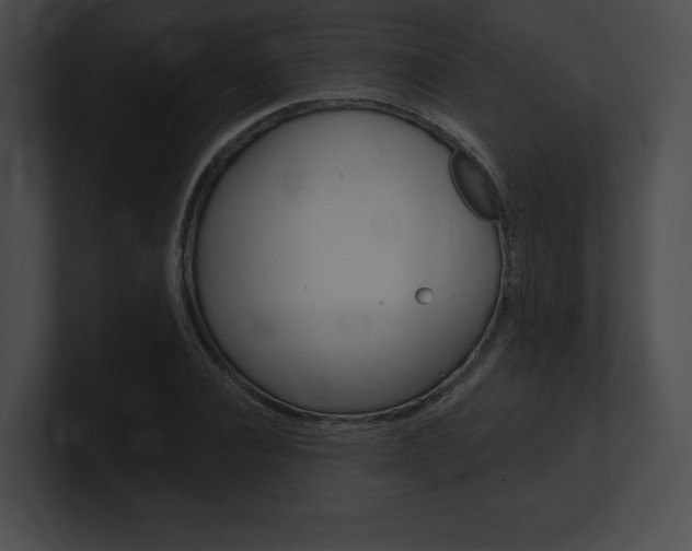 X0000101160928200806270729