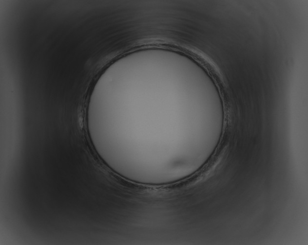 X0000101160929200806270729