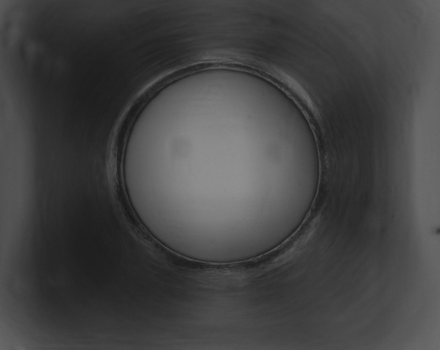 X0000101160931200806270729