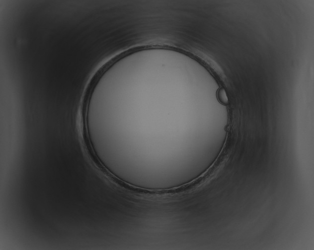 X0000101160936200806270729