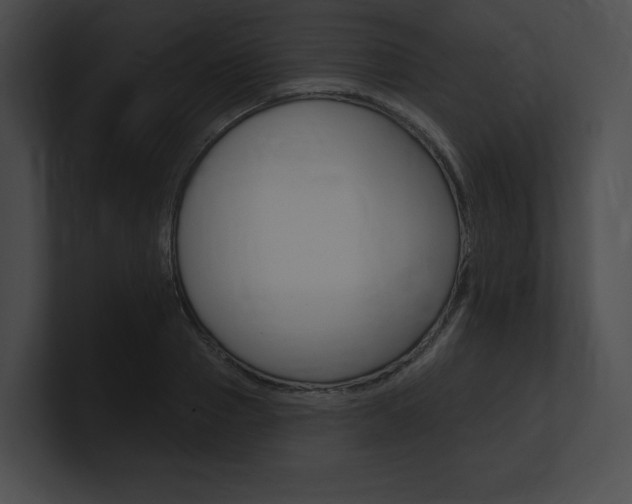 X0000101160937200806270729