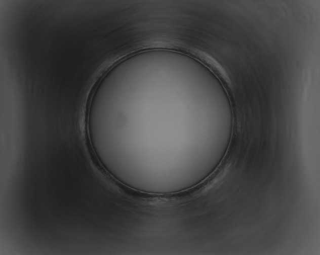 X0000101160938200806270729