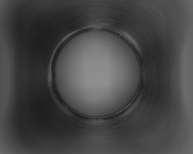 X0000101160940200806270729