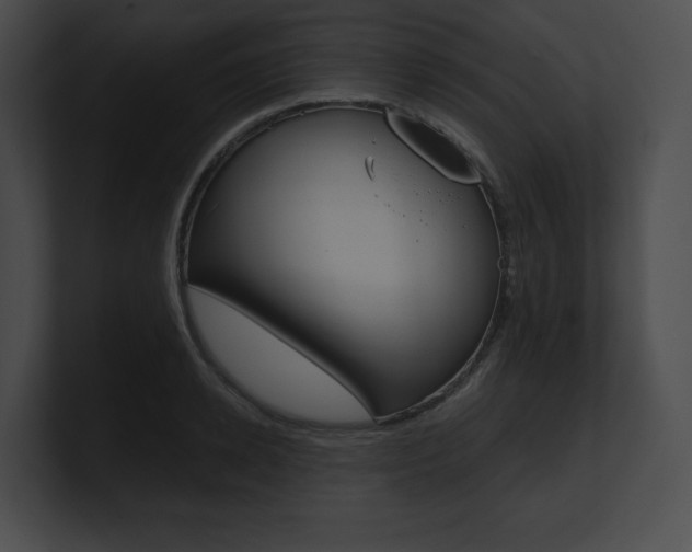 X0000101160942200806270729