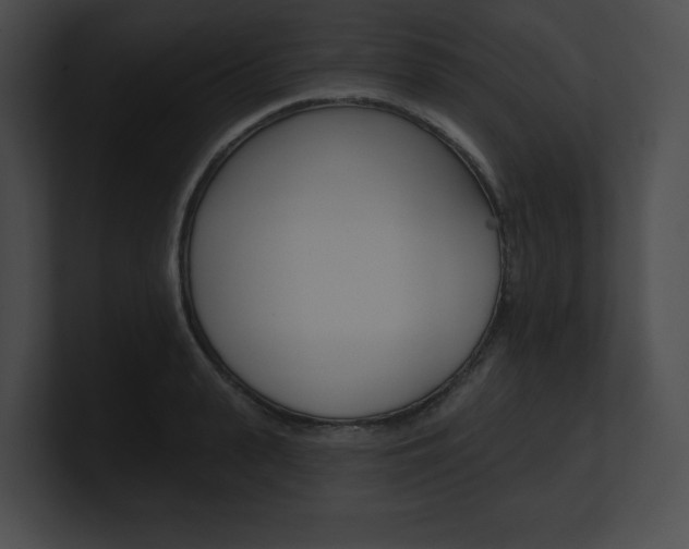 X0000101160943200806270729