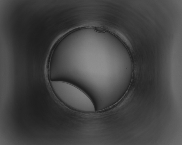 X0000101160944200806270729