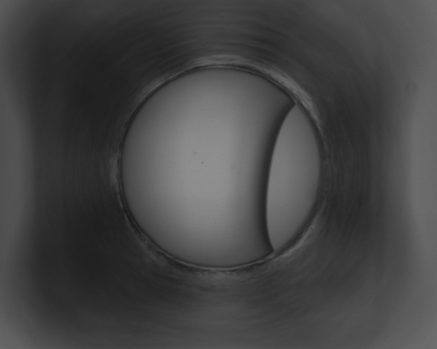 X0000101160945200806270729