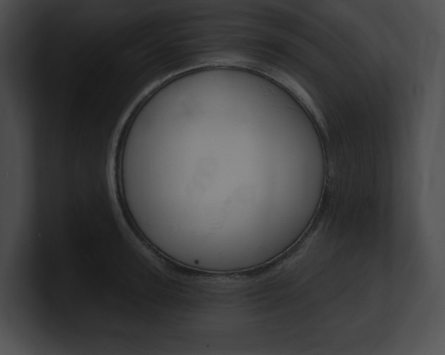 X0000101160947200806270729