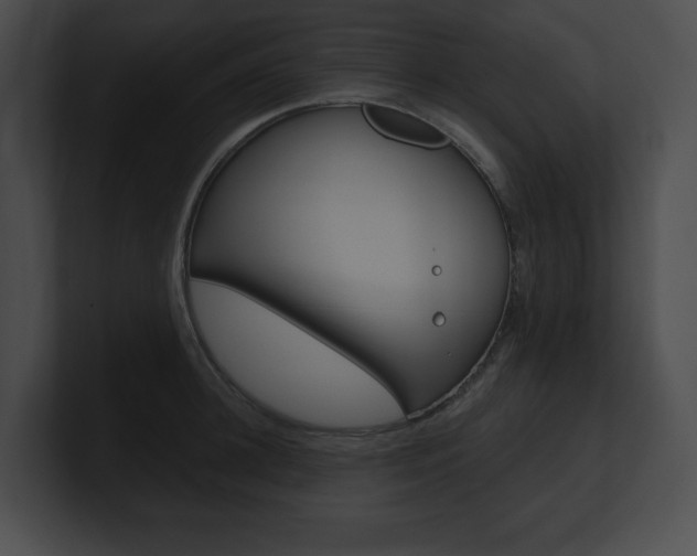 X0000101160948200806270729