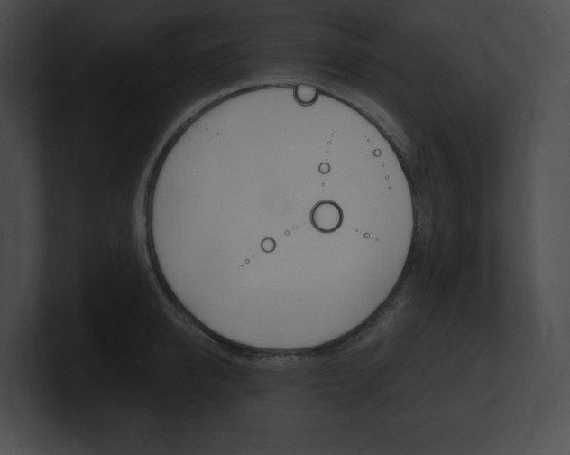 X0000101160950200806270729