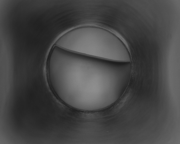 X0000101160951200806270729