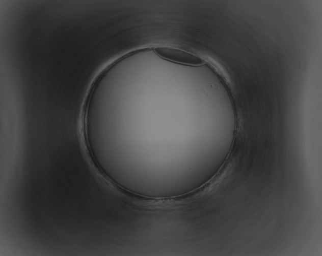 X0000101160952200806270729