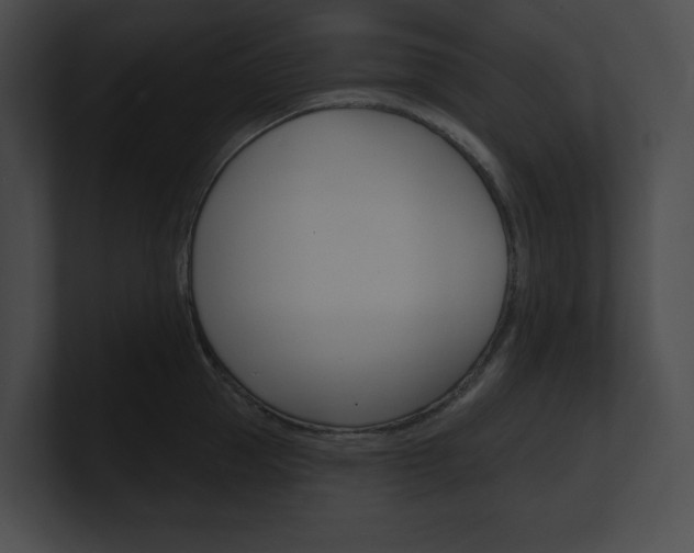 X0000101160953200806270729
