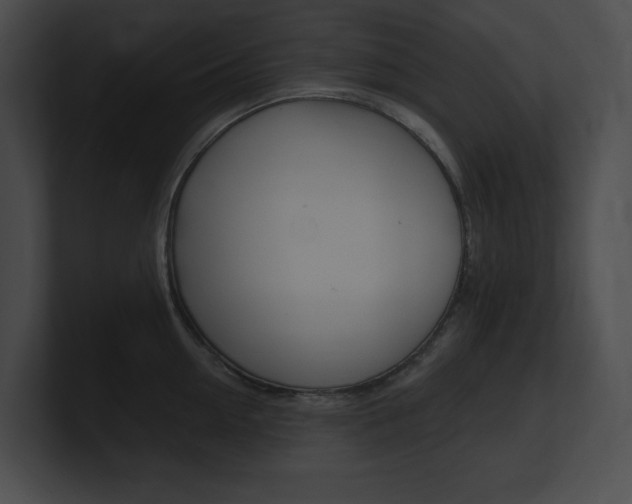 X0000101160954200806270729