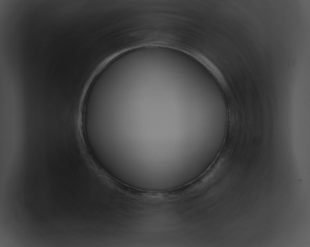 X0000101160956200806270729