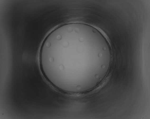 X0000101160957200806270729